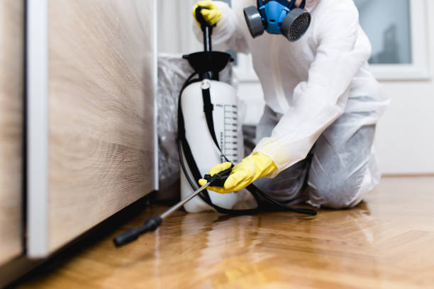 Best Best Pest Control Companies  in Park Ridge, NJ