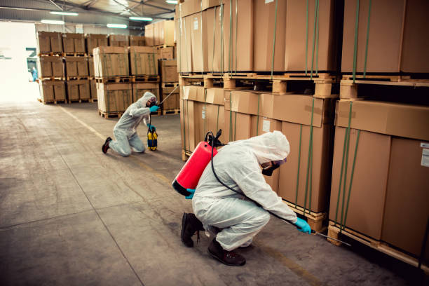 Wasp Removal Services in Park Ridge, NJ