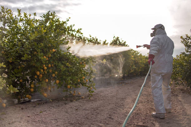 Best Wildlife Control Services  in Park Ridge, NJ