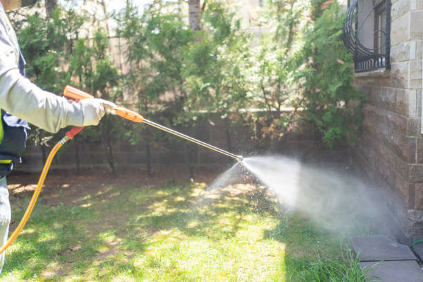 Best Rat Extermination Near Me  in Park Ridge, NJ