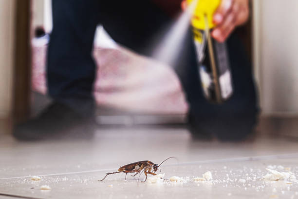 Best Pest Control Near Me  in Park Ridge, NJ