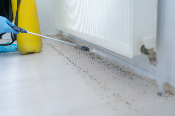 Best Pest Removal Services  in Park Ridge, NJ
