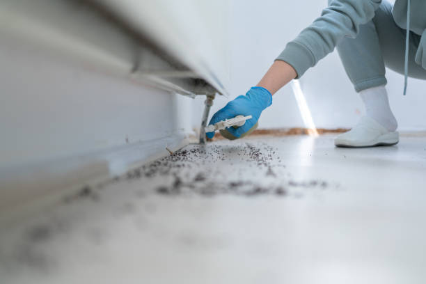 Best Pest Inspection Near Me  in Park Ridge, NJ
