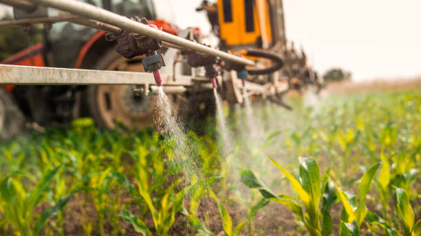 Best Mosquito Control Services  in Park Ridge, NJ